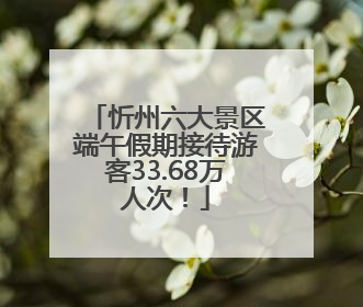 忻州六大景区端午假期接待游客33.68万人次！